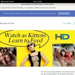 Americankittens Gift Card