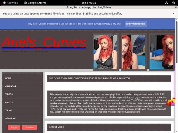 Ariel Paswords