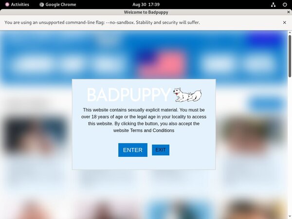 Badpuppy Premium Account Free