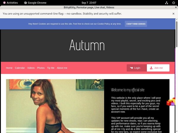 BittyKitty Segpay Discount