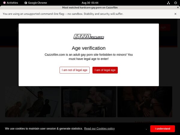 Cazzo Mobile Passwords