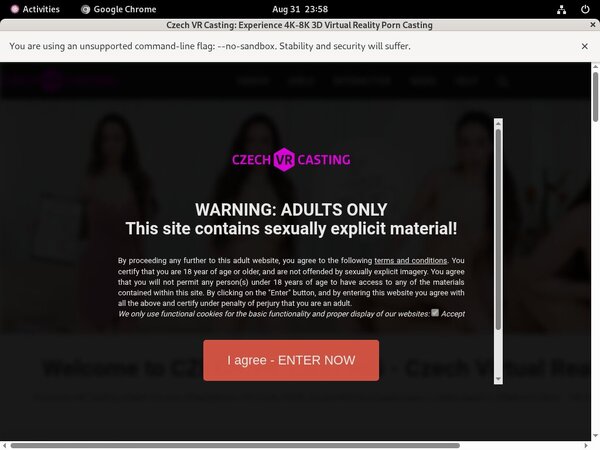 Czech VR Casting Get Password Czech VR Casting Get Password