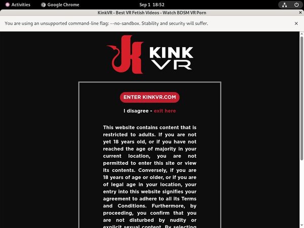 Free Kink VR Hacked Passwords