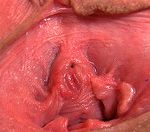 Gapemypussy Checkout Page