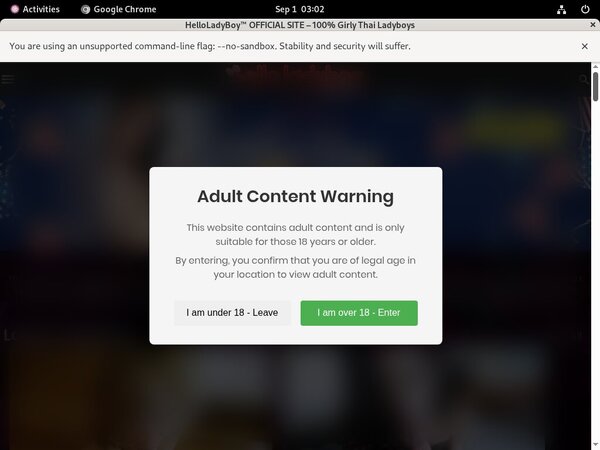 Hello Ladyboy Promo Codes