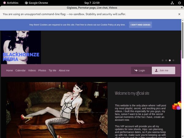 How To Access Gigixxxs.modelcentro.com