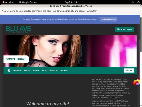 Ladiiblu13.modelcentro.com Page