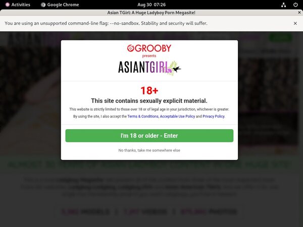Ladyboy Ladyboy Checkout