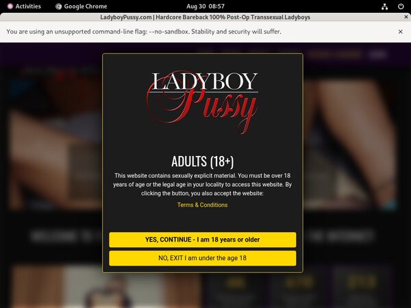 Ladyboypussy Working Passwords
