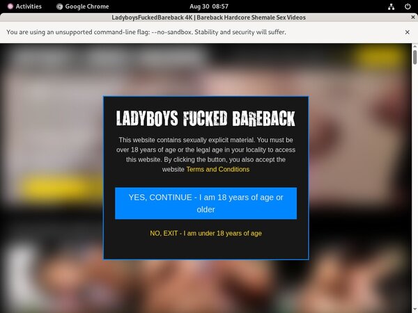 Ladyboysfuckedbareback Episodes