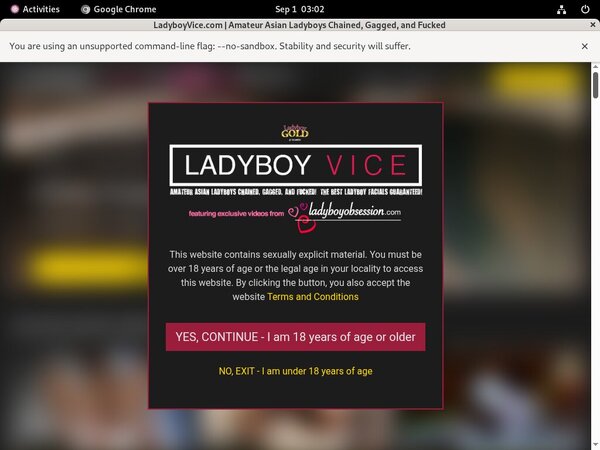 Ladyboyvice.com Buy Credit