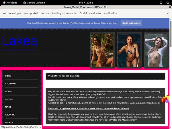 Lakea_Model Free Logins