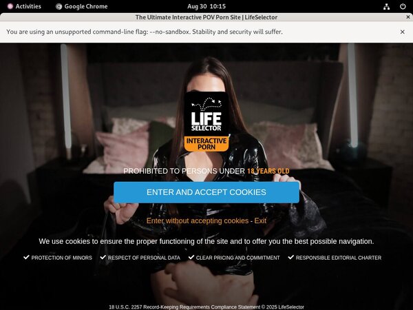 Life Selector Porn Reviews