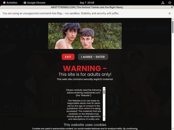 Nastytwinks Cam