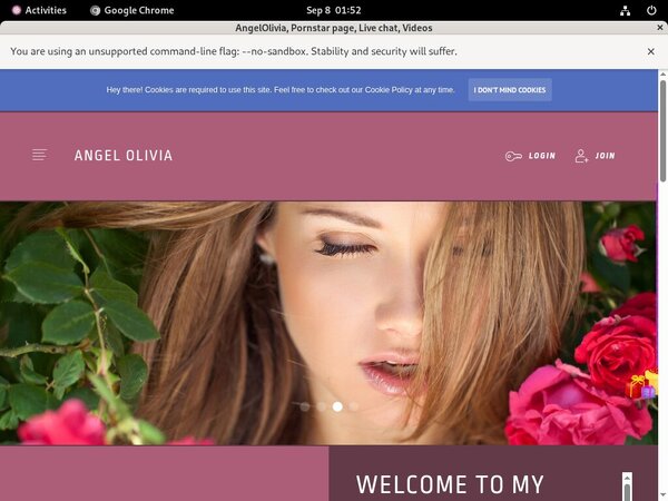 Paypal Angelolivia.modelcentro.com?