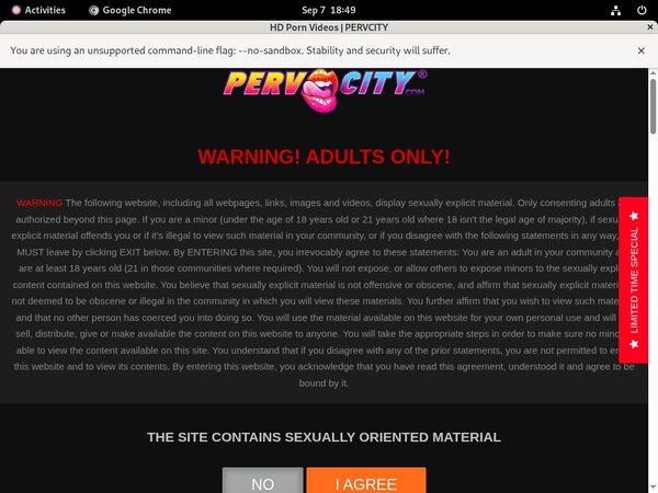 Perv City Bankeinzug