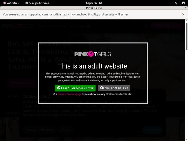 PinkO TGirls Wnu.com Page