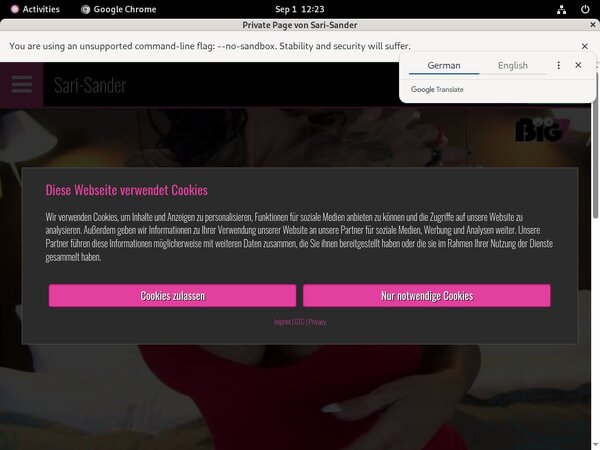 Sari-sander.com Epoch Discount