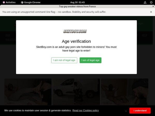 [Image: Sketboycom-Login-Free.jpg]