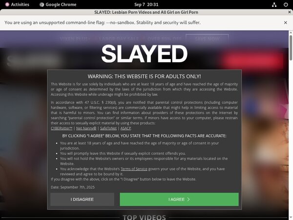 Slayed Web Slayed Web