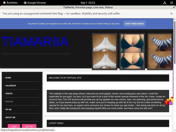 Tepasilveri.modelcentro.com Cost