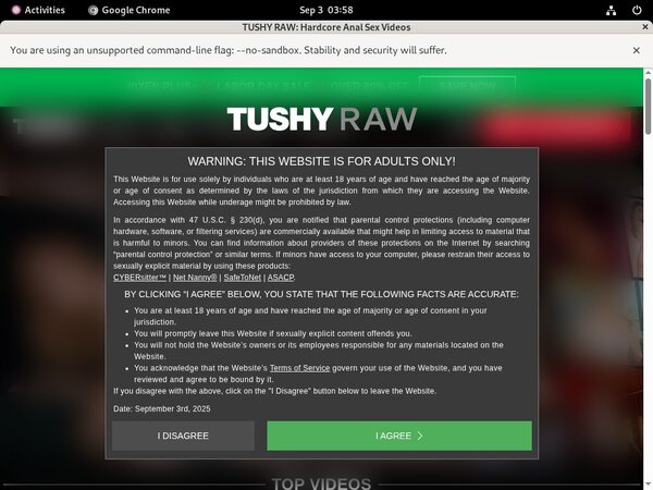 Username And Password For Tushyraw