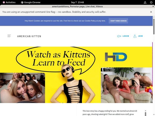 Using Paypal Americankittens