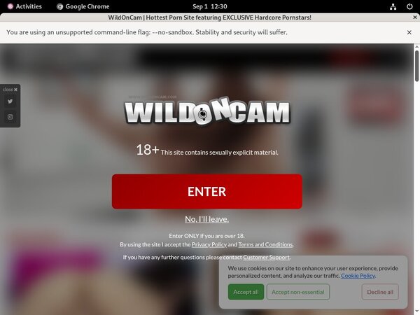 Wild On Cam Full Free