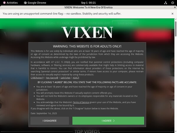 Get Into Vixen.com Free
